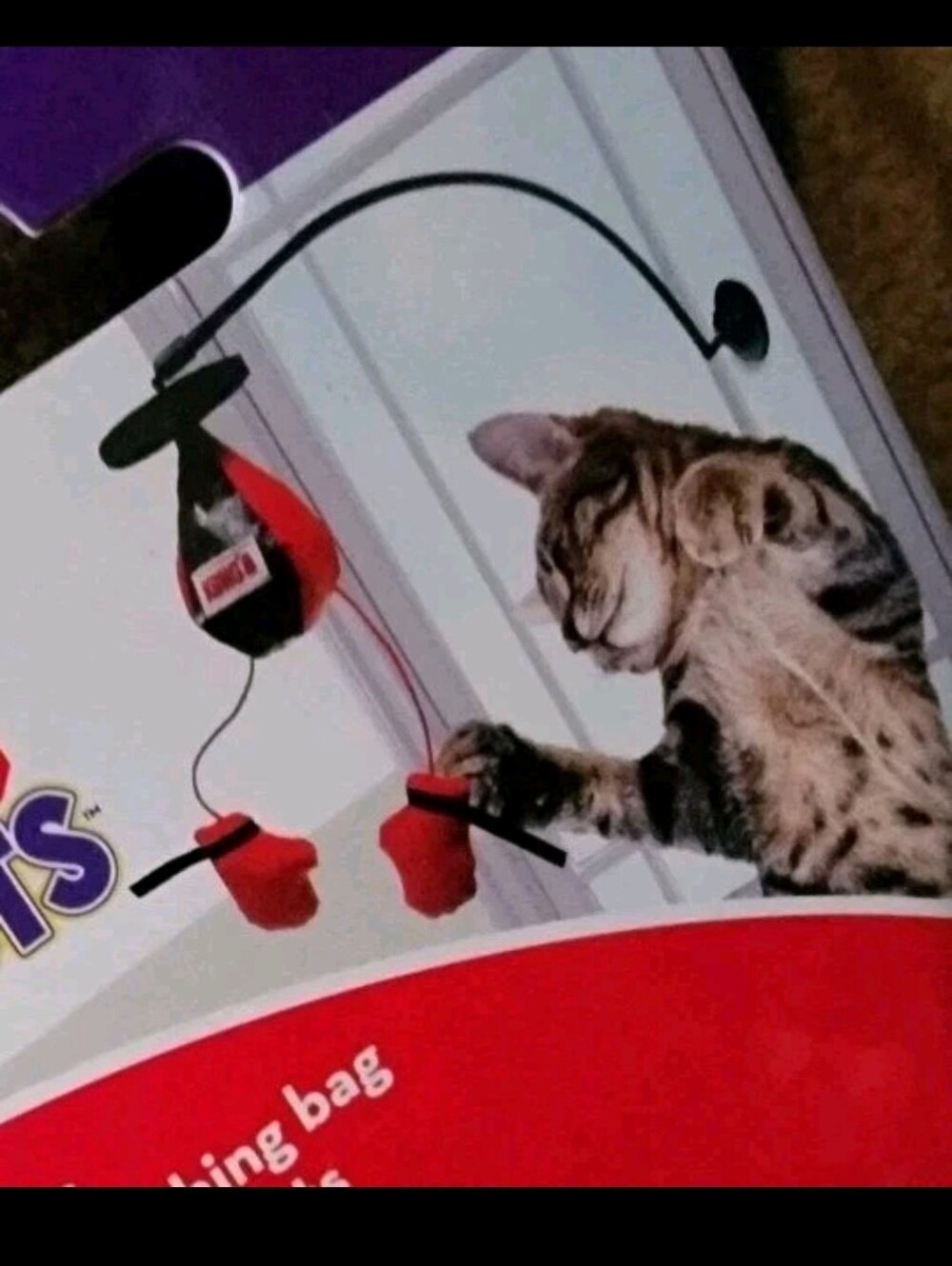 Kong Cat Connects Toy Window Attachment Punching Bag And Gloves  Interactive ea.
